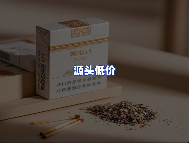 专业团队